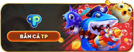Chiến lược quản lý vốn